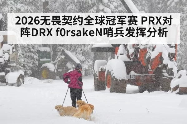 2026无畏契约全球冠军赛 PRX对阵DRX f0rsakeN哨兵发挥分析