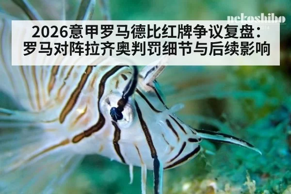 2026意甲罗马德比红牌争议复盘：罗马对阵拉齐奥判罚细节与后续影响